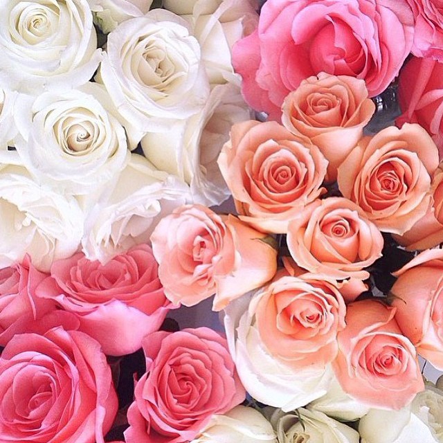It's Friday...I'm in love #seekwandershare #friday #friyay #flowers #pretty #love…